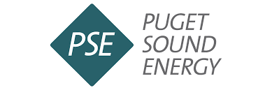PSE logo for energy company